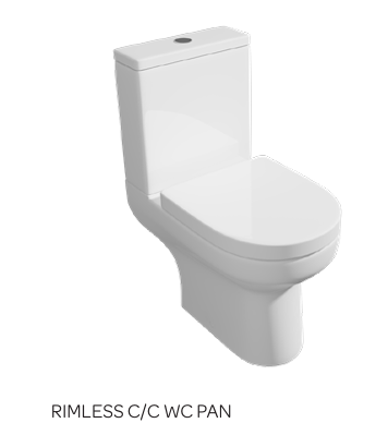 BIJ D Shape Rimless Toilet and Seat