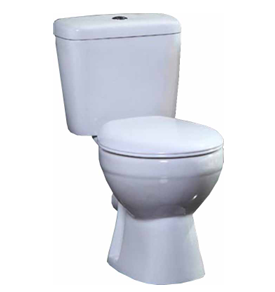 Standard Toilet Including Seat